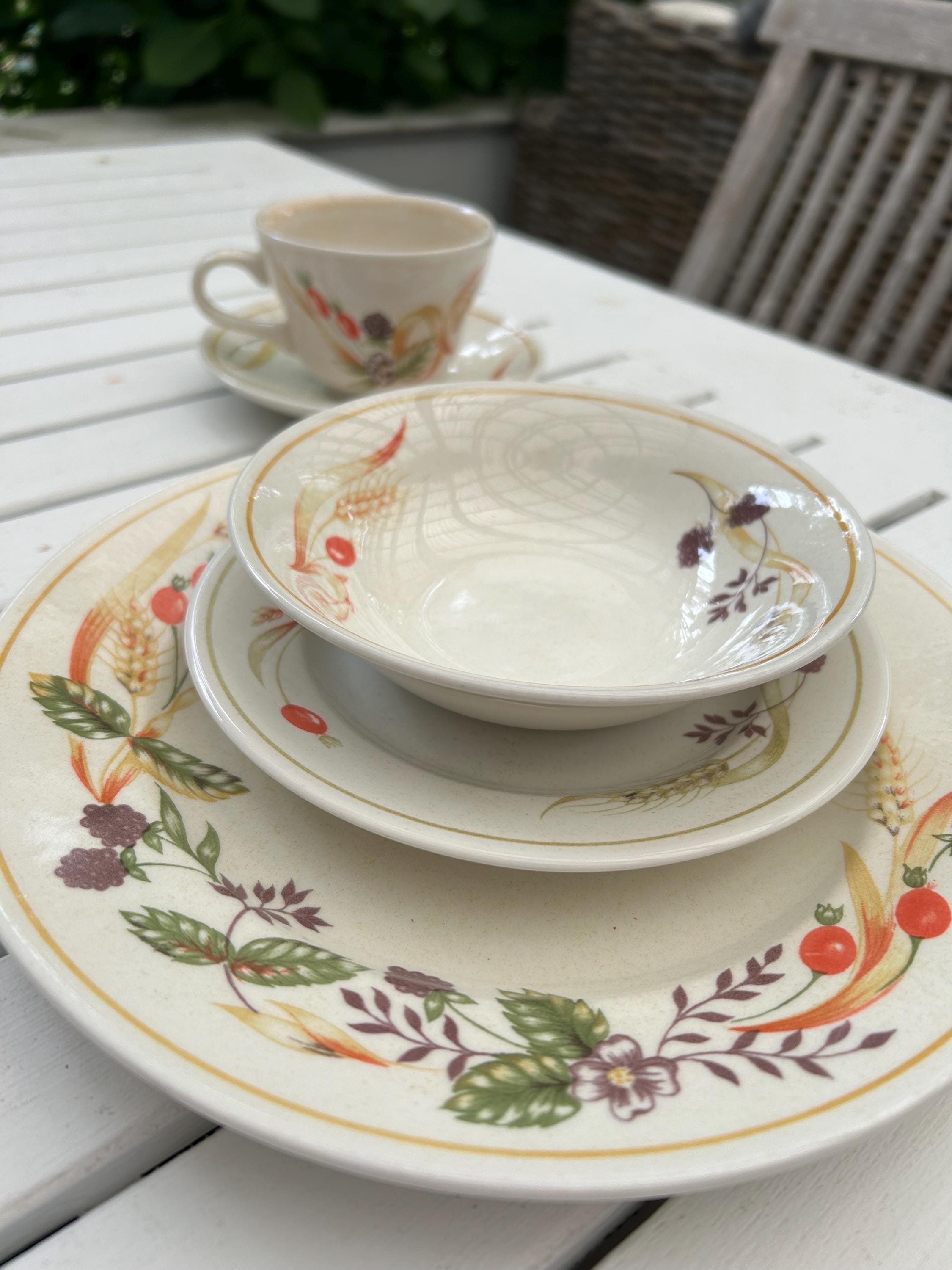 Dinner Plates Coventry Porcelain Dinnerware Coventry Dinner Plates