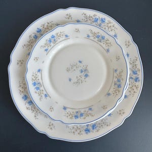 Puede incluir: Dos platos de cerámica blanca con un estampado floral. Los platos tienen un borde festoneado y un borde azul. El estampado floral incluye flores azules y marrones. Los platos están apilados.