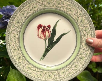 RHS Applebee Collection Plate | Tulip design | Green | 21cm | Royal Horticultural Society | Frieze accents | Botanical | England | Cottage