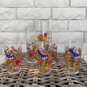 French Water Jug & Glasses Set | Exotic Bird Design | 1960s-1970s | Kitchen Decor | Picnic Pitcher | Vintage Glassware | Made in France |