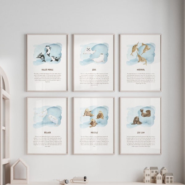 Arctic Animals Nursery Print Arctic Nursery Art Montessori Educational Nursery Print Arctic Wall Decor Marine Animal Poster Arctic Poster