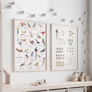 Bird Alphabet Poster Bird Numbers Poster Birds Nursery Decor ABC Animal Poster Bird Print Poster Montessori Poster Bird Species Wall Art