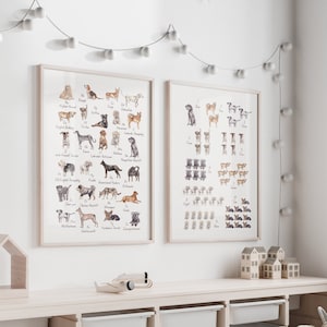 Hunderasse Alphabet Poster Hundealphabet Poster ABC Tierposter Hundedruck Hundezahlen Poster Montessori Poster Hunderassen Wandkunst Hundeliebhaber