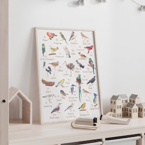 Bird Alphabet Poster Birds Nursery Wall Art Decor ABC Animal Poster Bird Print Poster Montessori Poster Bird Species Wall Art Bird Lover