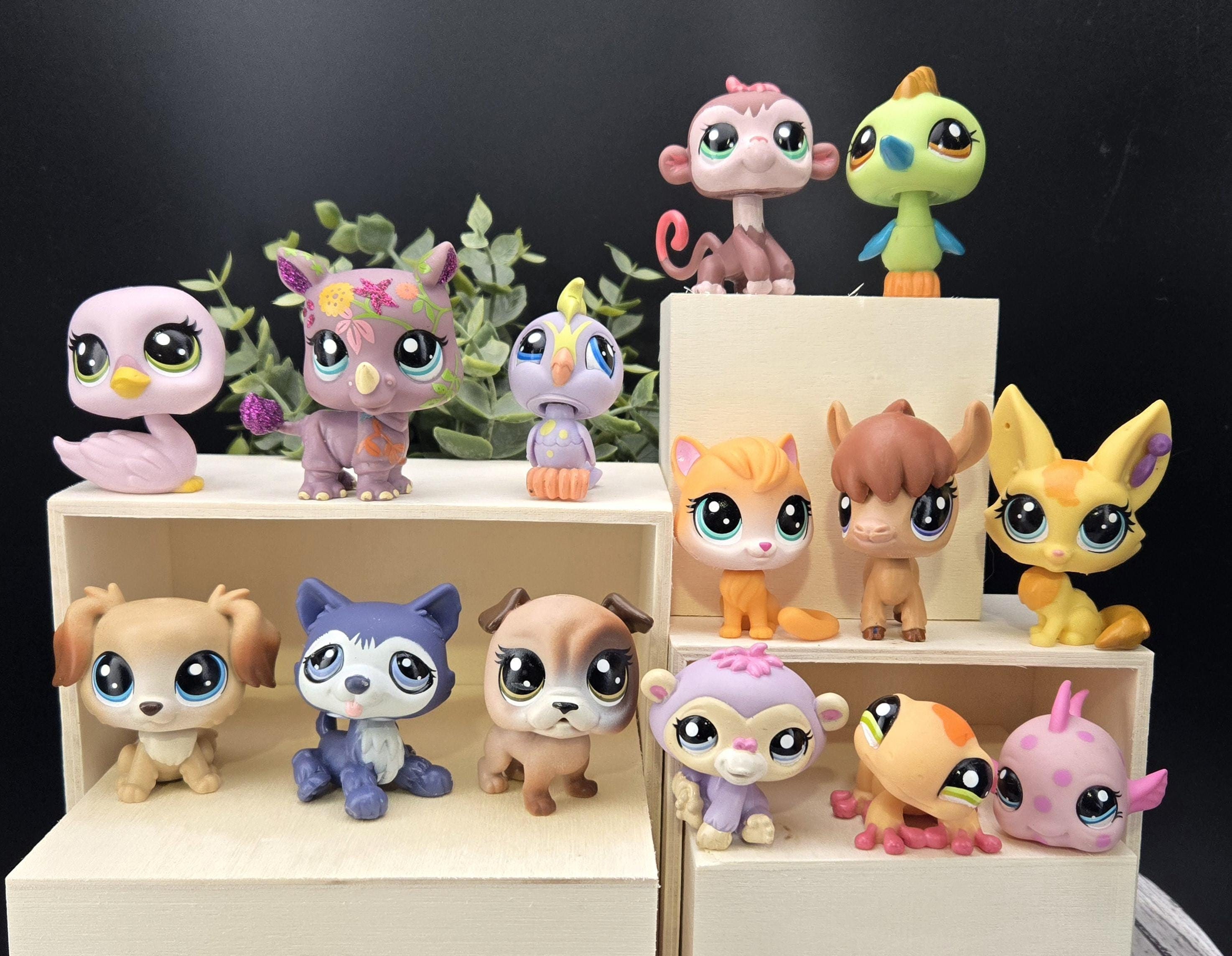 Shop pet shop figures Shop Black Friday