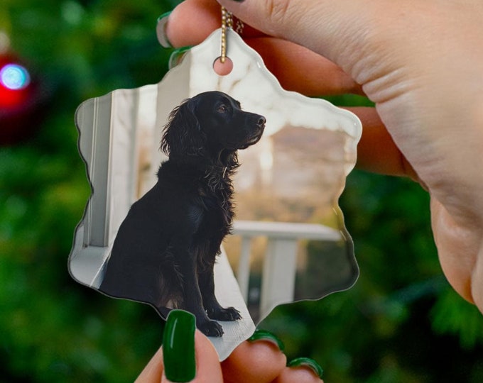 Ceramic Ornament, Snowflake Shapes, Black Springer Spaniel Dog Face, Dog Mom, Dog Dad, Dog Lover, Baby Dog, Springer Spaniel, Christmas