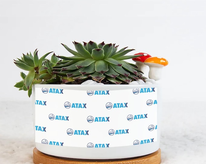 Single Side Printing Flowerpot