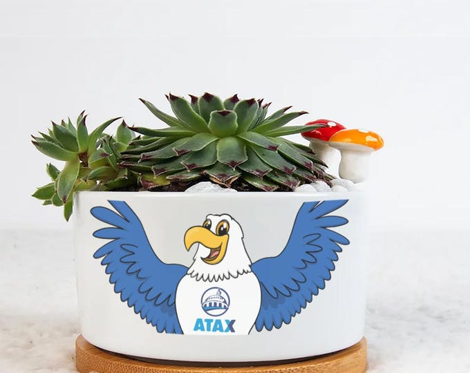 Single Side Printing Flowerpot