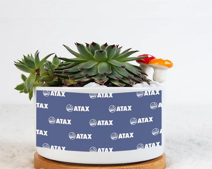 Single Side Printing Flowerpot