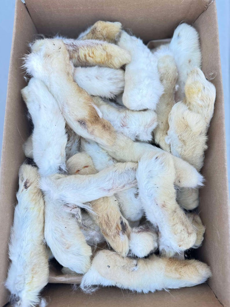 NEW Whole Furry Rabbit Feet, Medium Sized 4.5