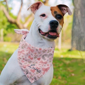 Messy Coquette Dog Bandana Pink Bow and Floral Pet Scarf Personalized Dog Bandana Gift Aesthetic Cottagecore Accessory for Puppy Girls