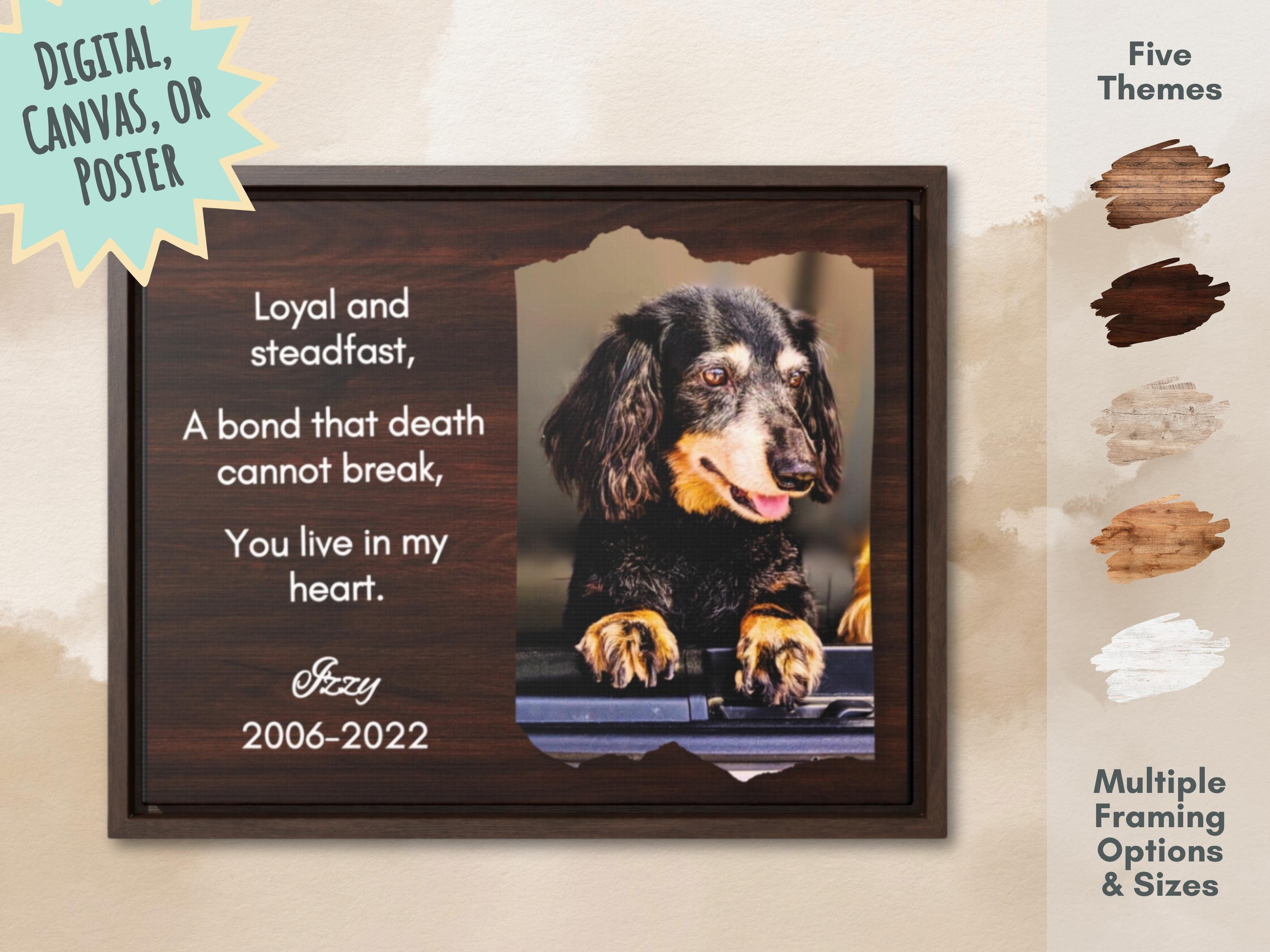 Rainbow Bridge Poem Dogs