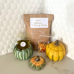 Pumpkin Spice Play Dough Kit | nature play dough | forest puddy | Halloween play dough | non-toxic | party activity | trick or treat