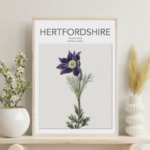 Hertfordshire poster, pasqueflower print, Hertfordshire national flower, vintage home decor, gift, Art, wall hanging, county print A3/A4
