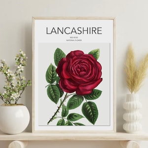 Lancashire poster, Red rose print, Lancashire national flower, vintage home decor, gift, Art, wall hanging, county print A3/A4