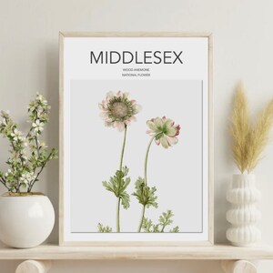 May include: A framed print displaying a botanical illustration of wood anemone flowers. The print includes the word "MIDDLESEX" at the top, with "WOOD ANEMONE" and "NATIONAL FLOWER" below. The flowers are illustrated in pink and green hues.