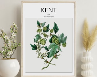 Kent poster,  Hop print, Kent national flower, vintage home decor, gift, Art, wall hanging, county print A3/A4