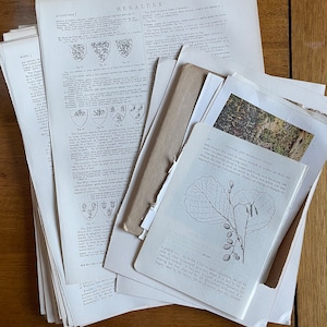 100 sheets of antique junk journal pages, scrapbooking, paper crafts, junk journal supplies, scrap book, vintage book pages