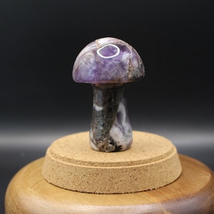 Amethyst Mushroom - Spiritual Harmony