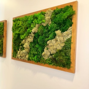 Moss Wall Art, Modern Decor,  Moss Wall, Green Wall, Moss Art Decor, Modern Wall Art, Green Art, Preserved Moss, Moss Art, Nature Room Decor