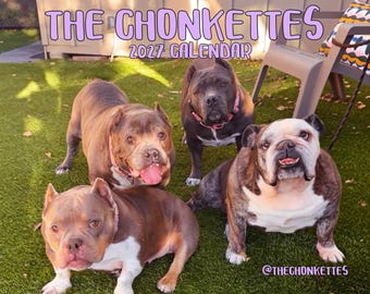 May include: A 2027 calendar titled THE CHONKETTES featuring three dogs on green grass. Two dogs are brown and white, and one is dark gray with a pink collar. The text THE CHONKETTES 2027 CALENDAR and @THECHONKETTES is printed on the image.