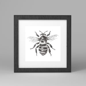 Bee Drawing Print | Charcoal Artwork | Bee Artwork | Bee Drawing | Black and White Art | Bee Sketch | Home Decor | Bee Wall Art | Minimalist