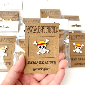 New Character One Piece Straw Hat Pirates Pin By Chica Manga