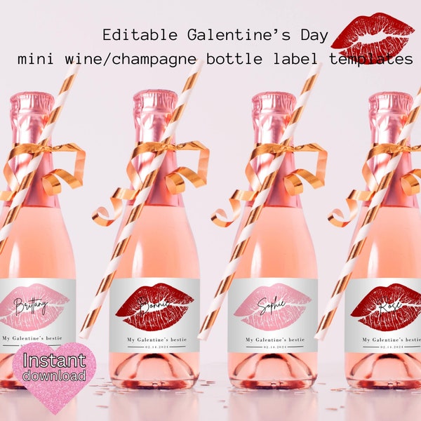 Bearbeitbare Mini-Galentine's Day Champagner / Weinflaschenetiketten, sofortiger Download DIY-Etiketten. Galentine Geschenk, Bearbeiten mit Canva, Girl's night out.