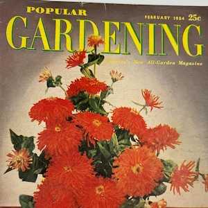 Revista POPULAR GARDENING de febrero de 1954, ¡anuncios especiales de gladiolos de mediados de siglo!