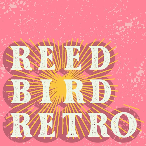 ポーラアブドゥル 1991 ヴィンテージ ミュージック Tシャツ ロックTシャツ ポーラアブドゥル 1991 ヴィンテージ ミュージック Tシャツ ロックT