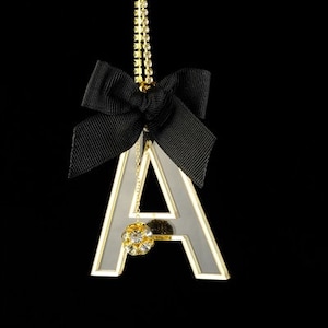 Charm personalizado con inicial en oro transparente y letras para amantes de la raza negra / Charm para coche con iniciales / Charm personalizado / Accesorios para mujer