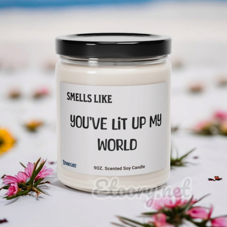 Punny Smells Like You've Lit up My World Scented Soy Candle 9oz Gift