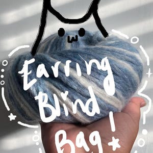 Earring blind bag