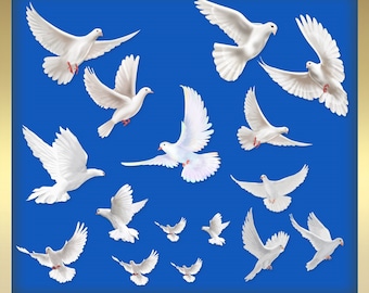 Pigeons Clipart - Pigeon Clipart - Pigeon Overlays - Flying Pigeons - Dove overlays - flying dove - wedding doves overlay  instant download