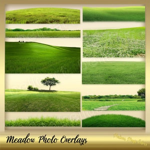 17 superposiciones de fotos de pradera - Superposición de pradera - Capa de pradera - Superposiciones de fotos de césped - Capas de Photoshop - Césped verde - Superposición de verano