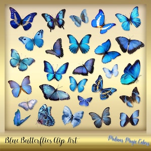 Blue Butterflies Clip Art - Butterfly Overlays - real butterflies - Butterfly Overlay -  blue Butterfly PNG -  Instant Download