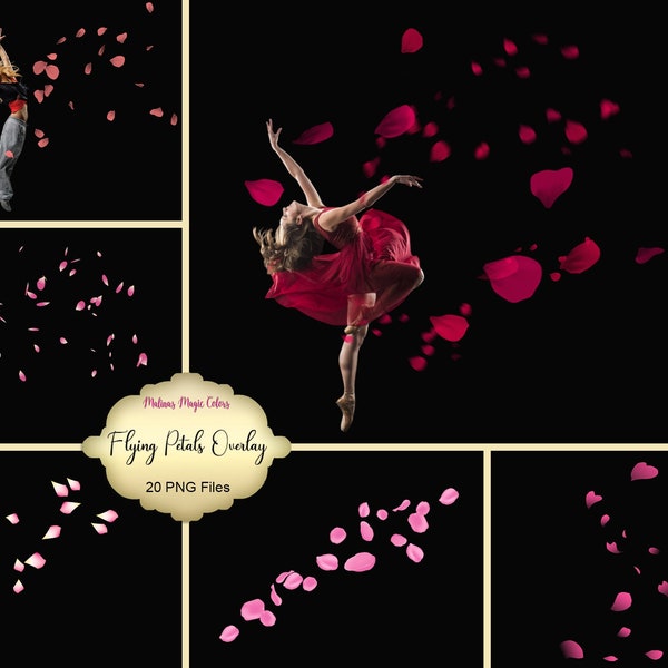 Flying Petals Overlays -  Rose Petals Overlays - Falling Petals - rose petals overlays - instant download