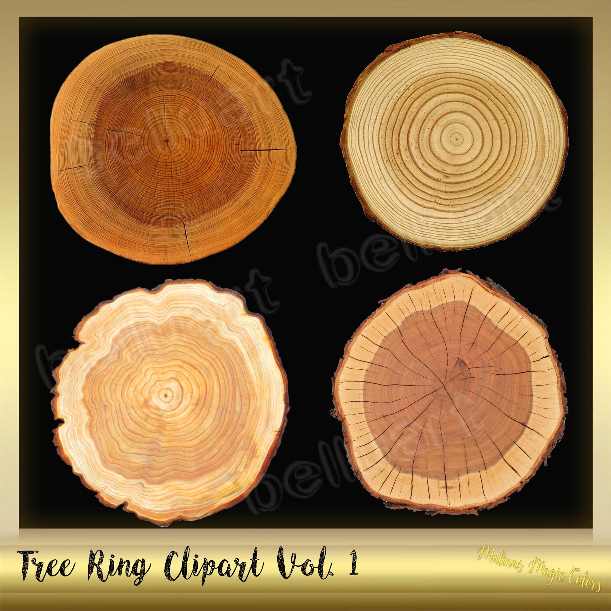 Tree Rings Clips Rt 12 Tree Ring Clip Art Vol. 1 - Tree Ring Clipart - Tree Wood Slices ...