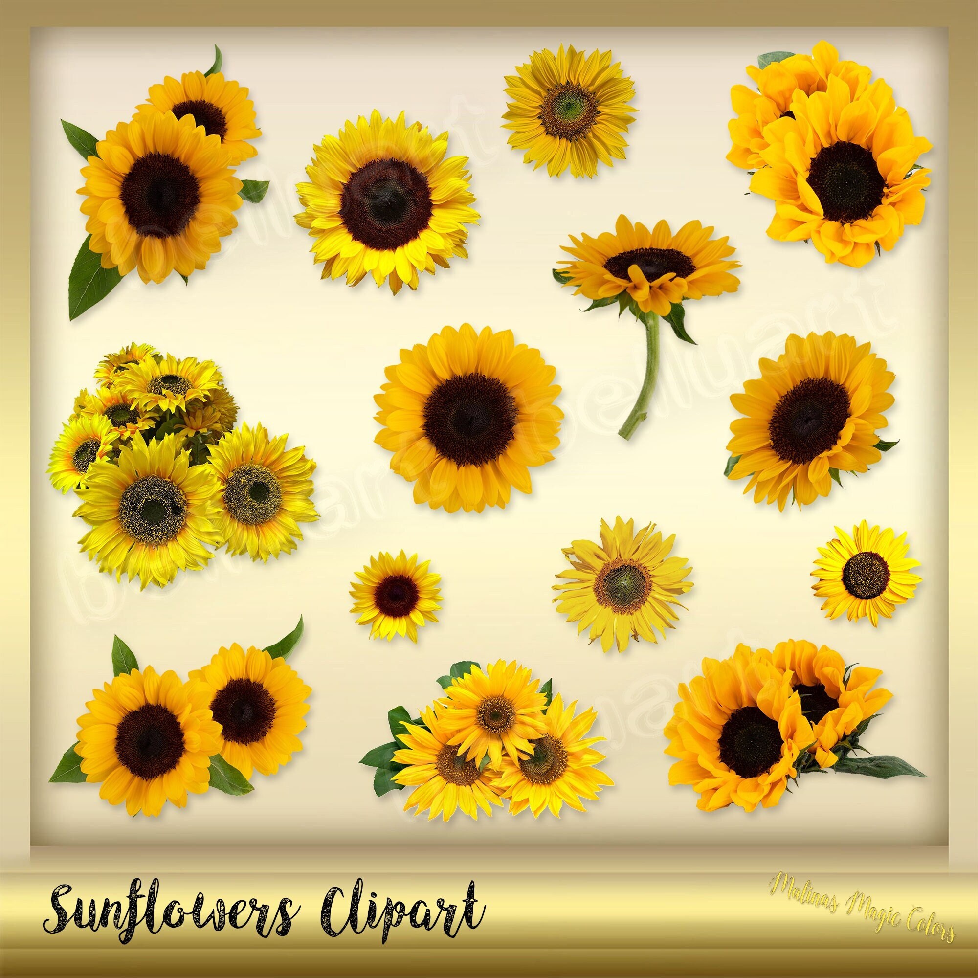 15 Sunflowers Clip Art Flowers Clipart Instant Download Sunflowers PNG ...