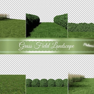 Grass Field Lansdcape - Meadow Photo Overlay -  Grass photo overlays - Photoshop layers - green grass - summer overlay
