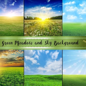 Green Meadow and Blue Sky Background - Grass Field Background - Green Meadow Background - Summer Background - Spring Background