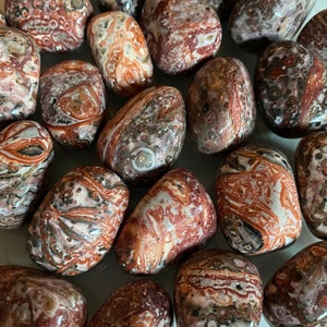 Leopardskin Jasper Tumbled crystal