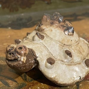 May include: A small ceramic turtle figurine with a dark brown head and a cream-colored shell. The shell features raised, dark brown, spike-like protrusions across its surface. The turtle has a textured finish and a visible, sculpted facial expression.