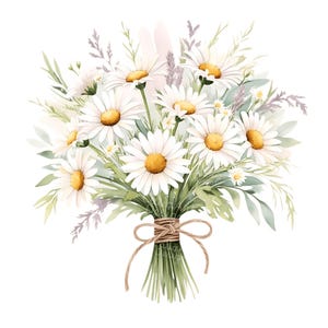 Clipart di fiori di mazzi di margherite ad acquerello, bouquet di margherite PNG, download digitale istantaneo, clipart di acquerelli stampabili, carta da artigianato, diario di spazzatura