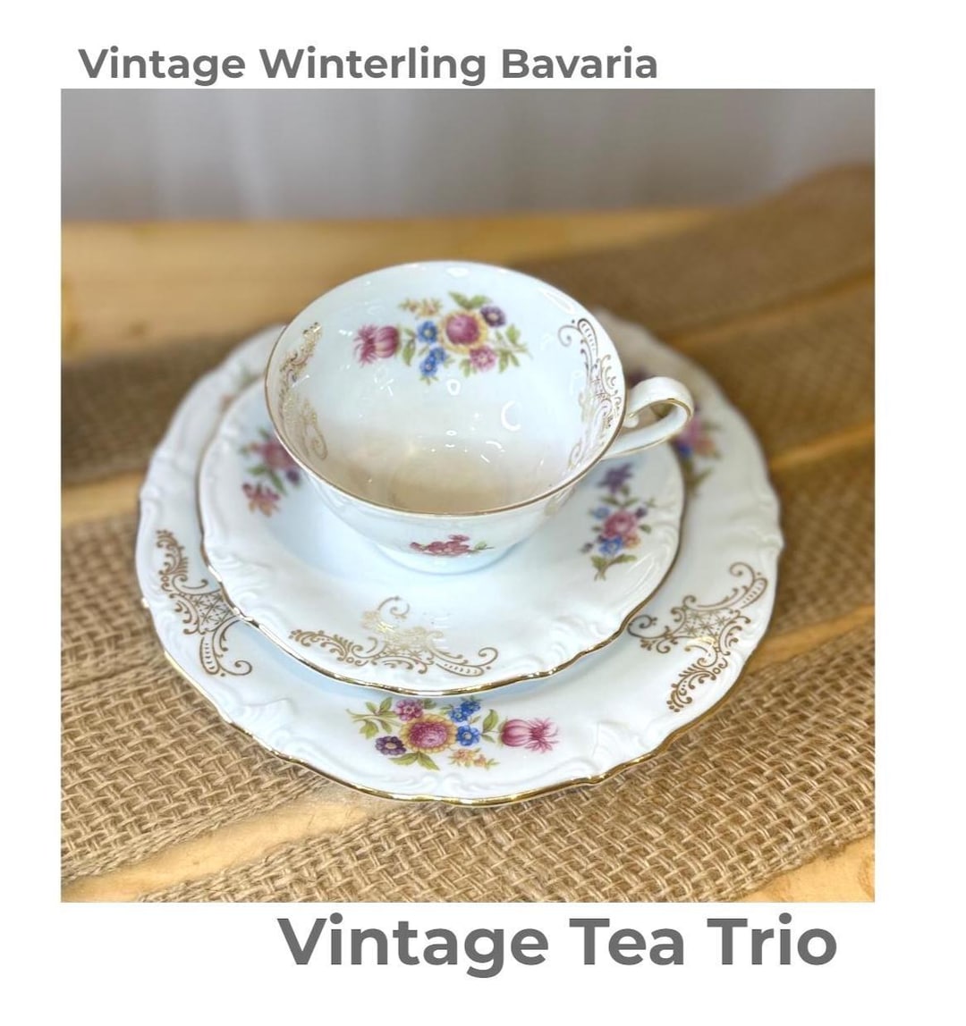 Vintage Winterling Bavaria Floral Porcelain Tea Set With Gold Trim ...