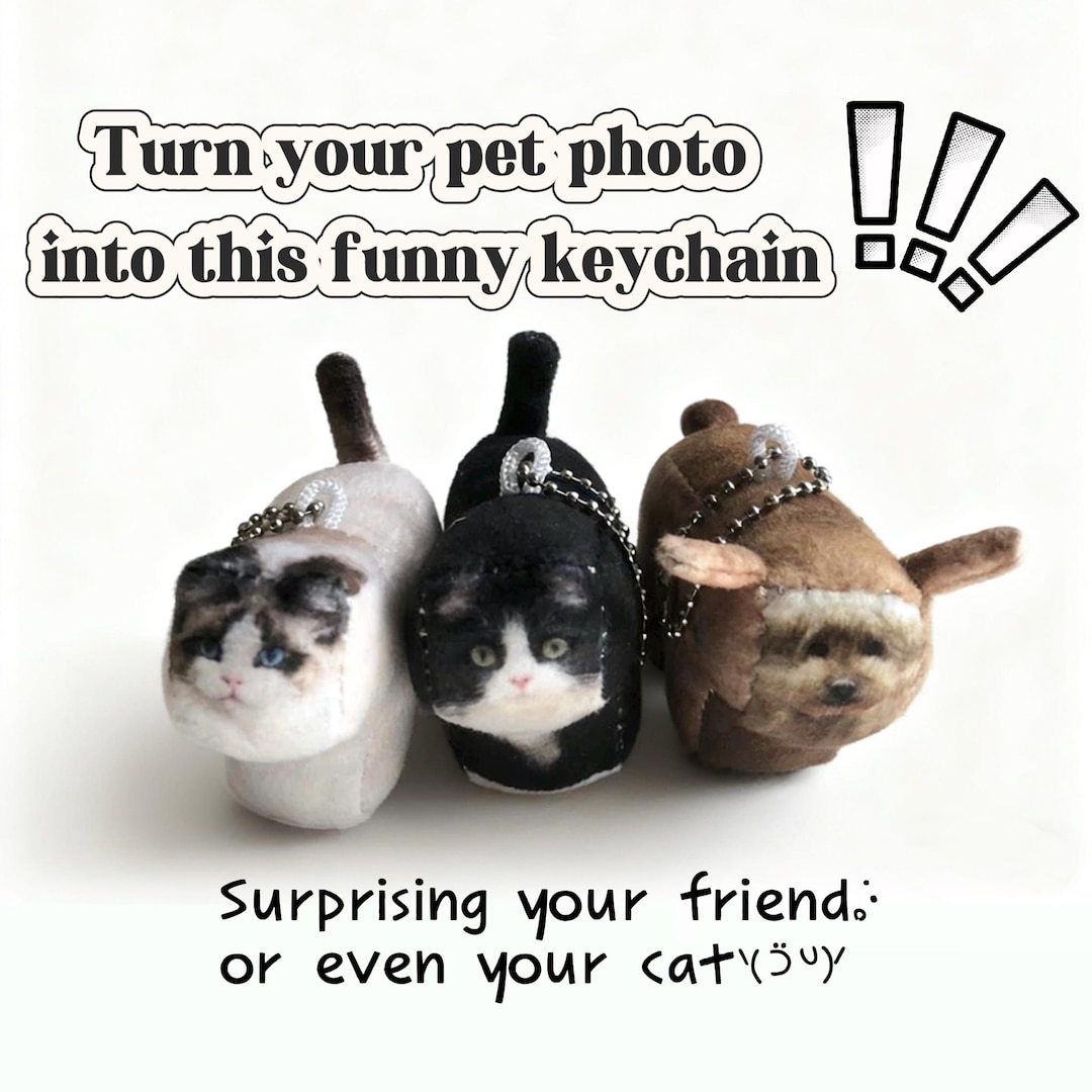 Unique Personalized Gift, Custom Pet Photo Plush Charm, Personalized 4D Dog Cat Keychain,mother's Day Gift, Gift for Family and Friends - Etsy Canada