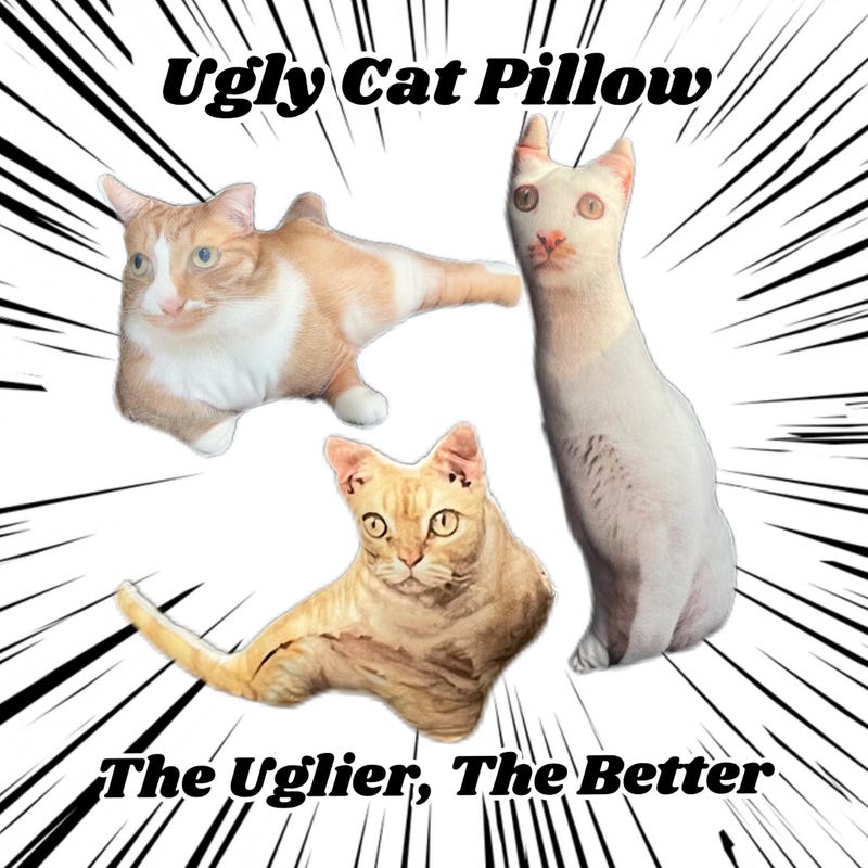 Custom Meme Plush - Etsy