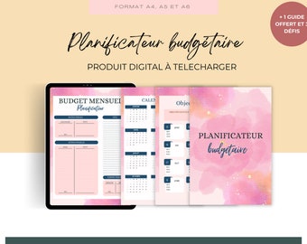 Budget Planner, Budget Planner in French, Tracking expenses and savings, Digital Planner, 2024 calendar, Monthly Budget