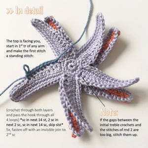 Zeesterpatroon pdf, zeester haakpatroon, zeester pdf, zeester gehaakt pdf, amigurumi zeester speelgoed, pdf digitale download instant