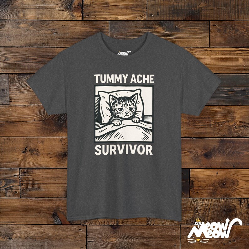 May include: Dark gray t-shirt featuring a distressed graphic of a cat in bed with the words "Tummy Ache Survivor". The cat illustration is black and white, with the cat looking sad. The shirt has a crew neck.